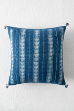 INDIGO AAKAR CUSHION